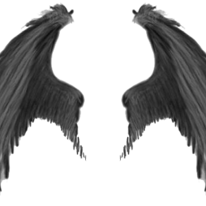 Wings PNG