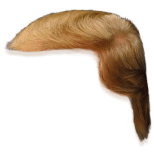 Hair wig PNG
