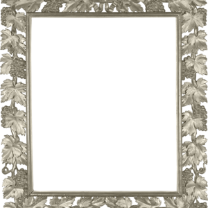 Picture, photo frame PNG