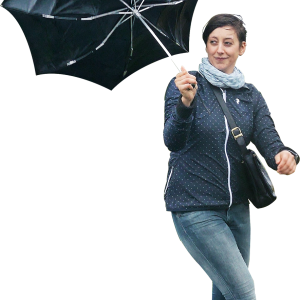 Umbrella PNG