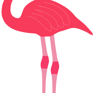 Flamingo PNG