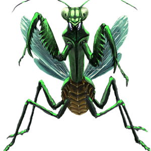 Mantis PNG