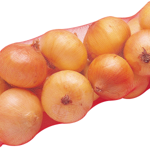 Onion PNG