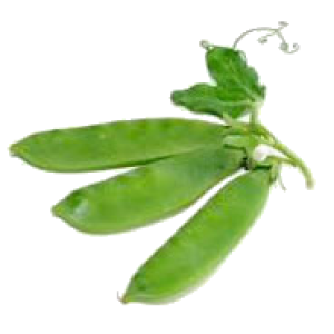 Pea PNG