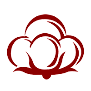 Cotton PNG