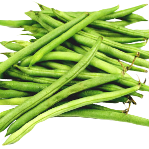 Green bean PNG
