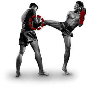 Kickboxing PNG