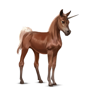 Unicorn PNG