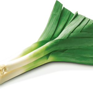 Leek PNG