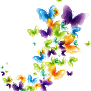 many butterflies PNG
