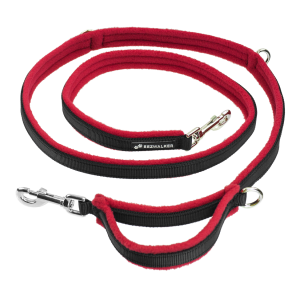 Leash PNG