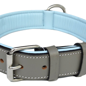 Dog collar PNG
