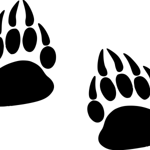 Paw PNG