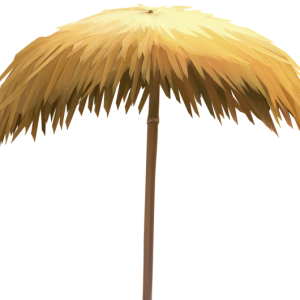 Beach umbrella PNG
