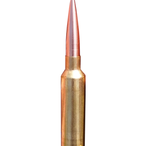 Bullets PNG image