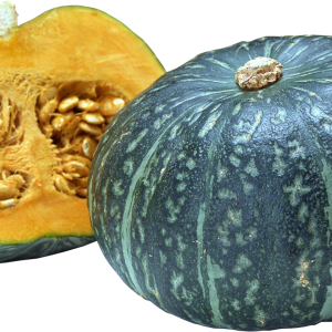 Pumpkin PNG image
