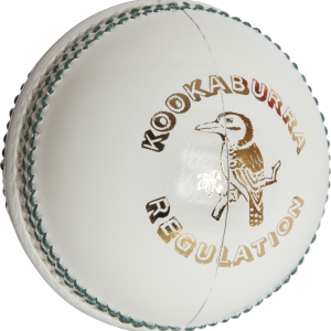 Cricket ball PNG