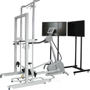 Gym fitness equipment PNG