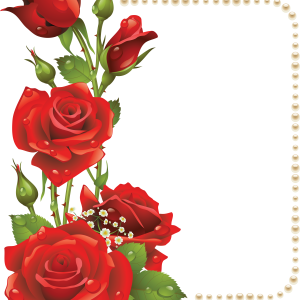 Floral frame PNG