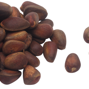 Pine nuts PNG