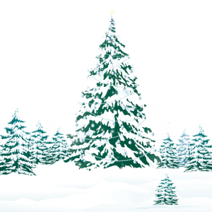 Winter forest PNG