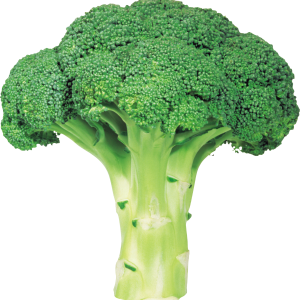Broccoli PNG image with transparent background