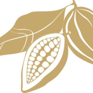 Cacao PNG
