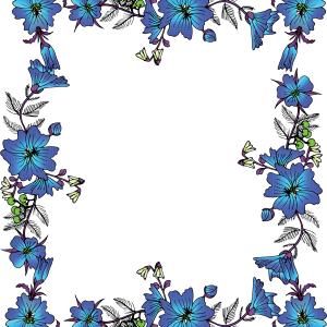Floral frame PNG