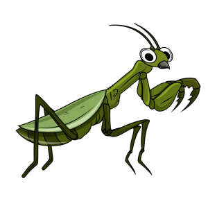 Mantis PNG