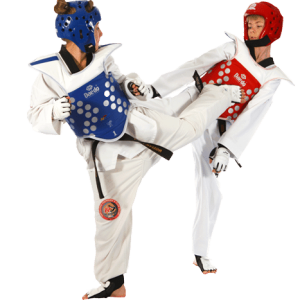 Taekwondo PNG