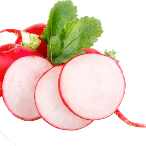 Radish PNG