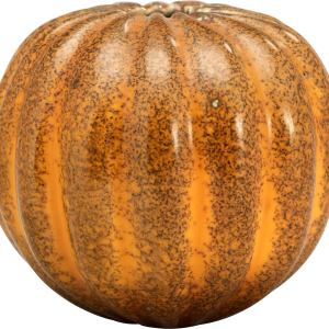 Pumpkin PNG image