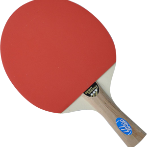 Ping Pong racket PNG image