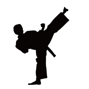 Karate siluete PNG