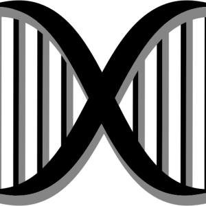 DNA PNG