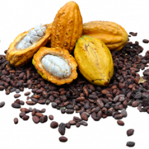 Cacao PNG