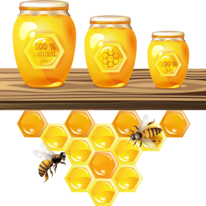 Honey PNG
