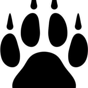 Paw PNG