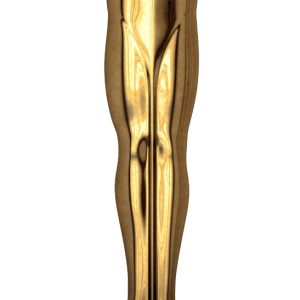 Academy Awards PNG, the Oscars PNG