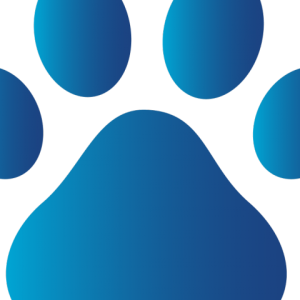 Paw PNG