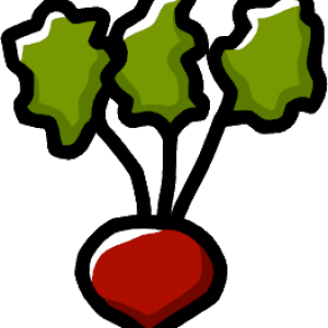Beet PNG