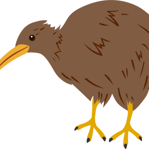 Kiwi bird PNG