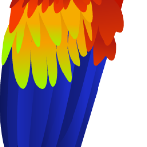 Colorful parrot PNG images, free download