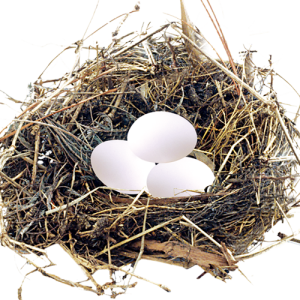 Nest PNG