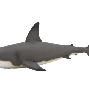 Shark PNG