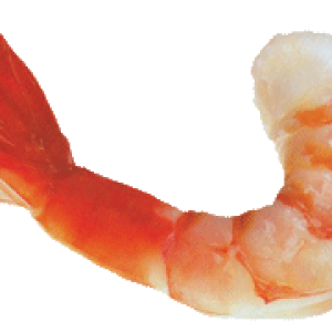 Shrimps PNG