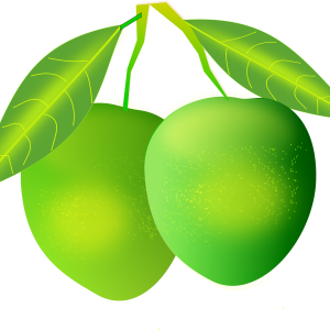 Mango PNG image