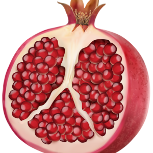 Pomegranate PNG