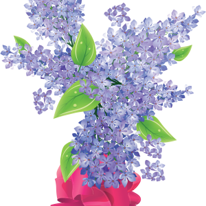 Lilac PNG