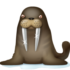 Walrus PNG